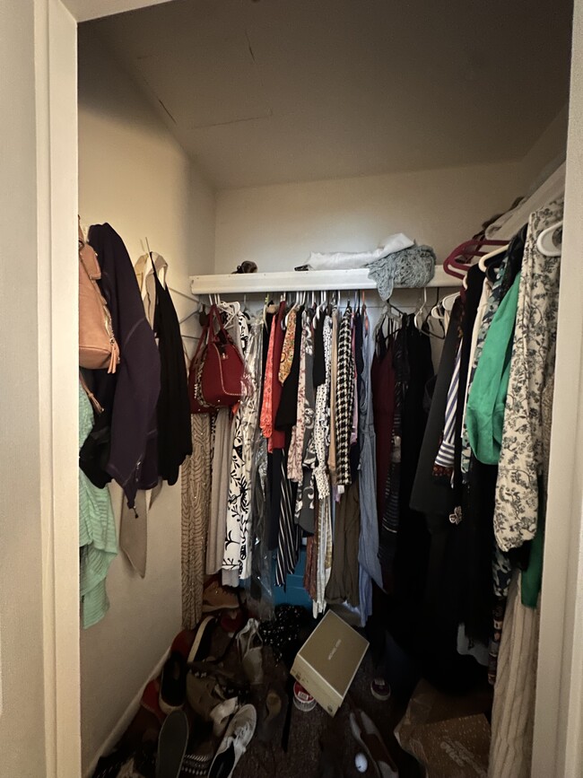 1 of 2 walk-in closets - 407 Beech Rd