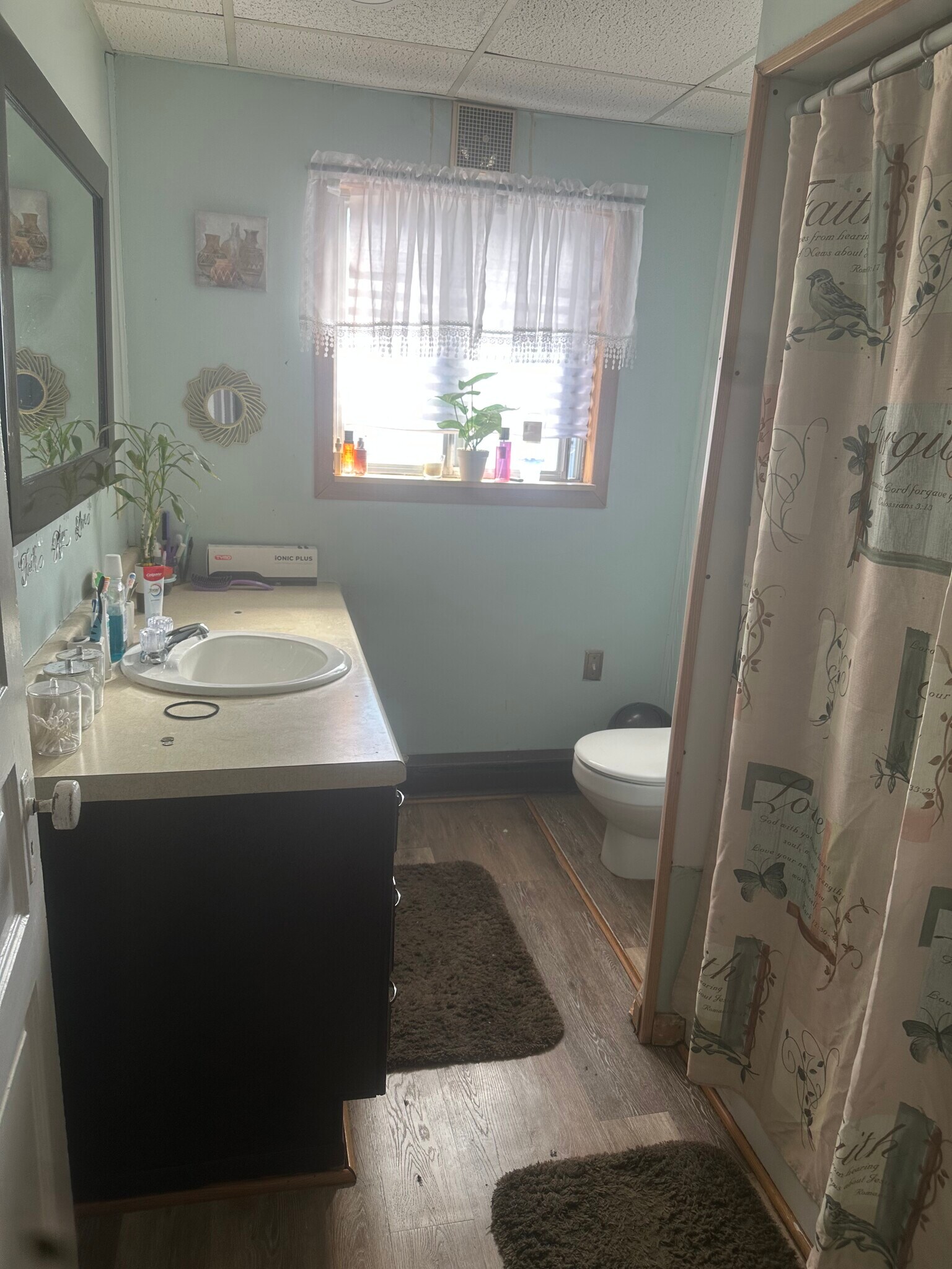 Building Photo - 2385 Main St