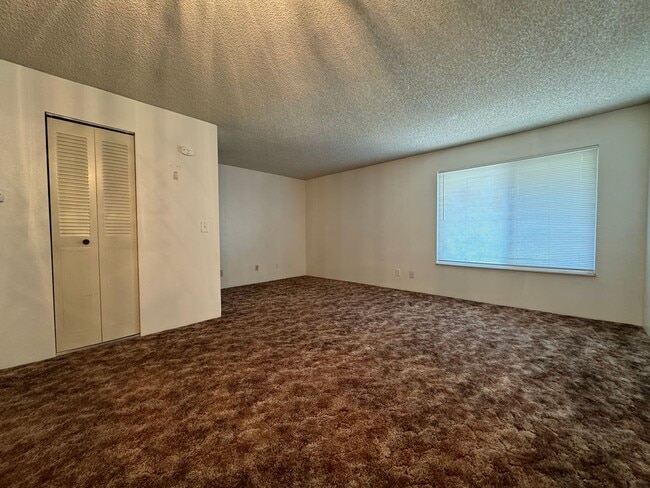 Building Photo - Great Studio Condo
