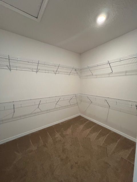 Building Photo - 15037 Black Scoter Dr
