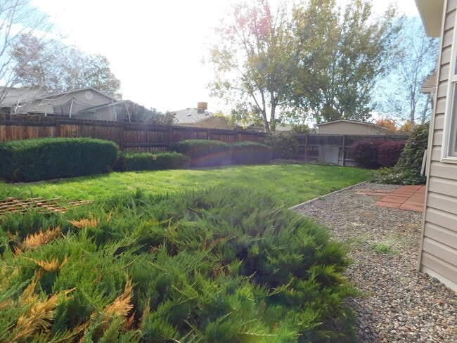 Building Photo - NEW CARPET