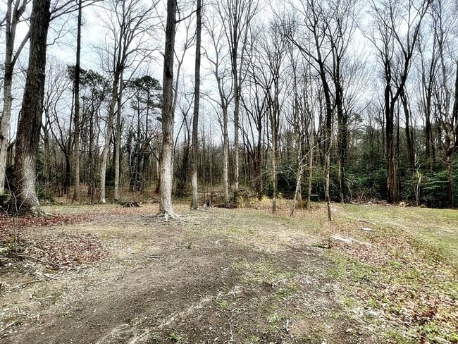 Building Photo - Colonial on Large Wooded Lot