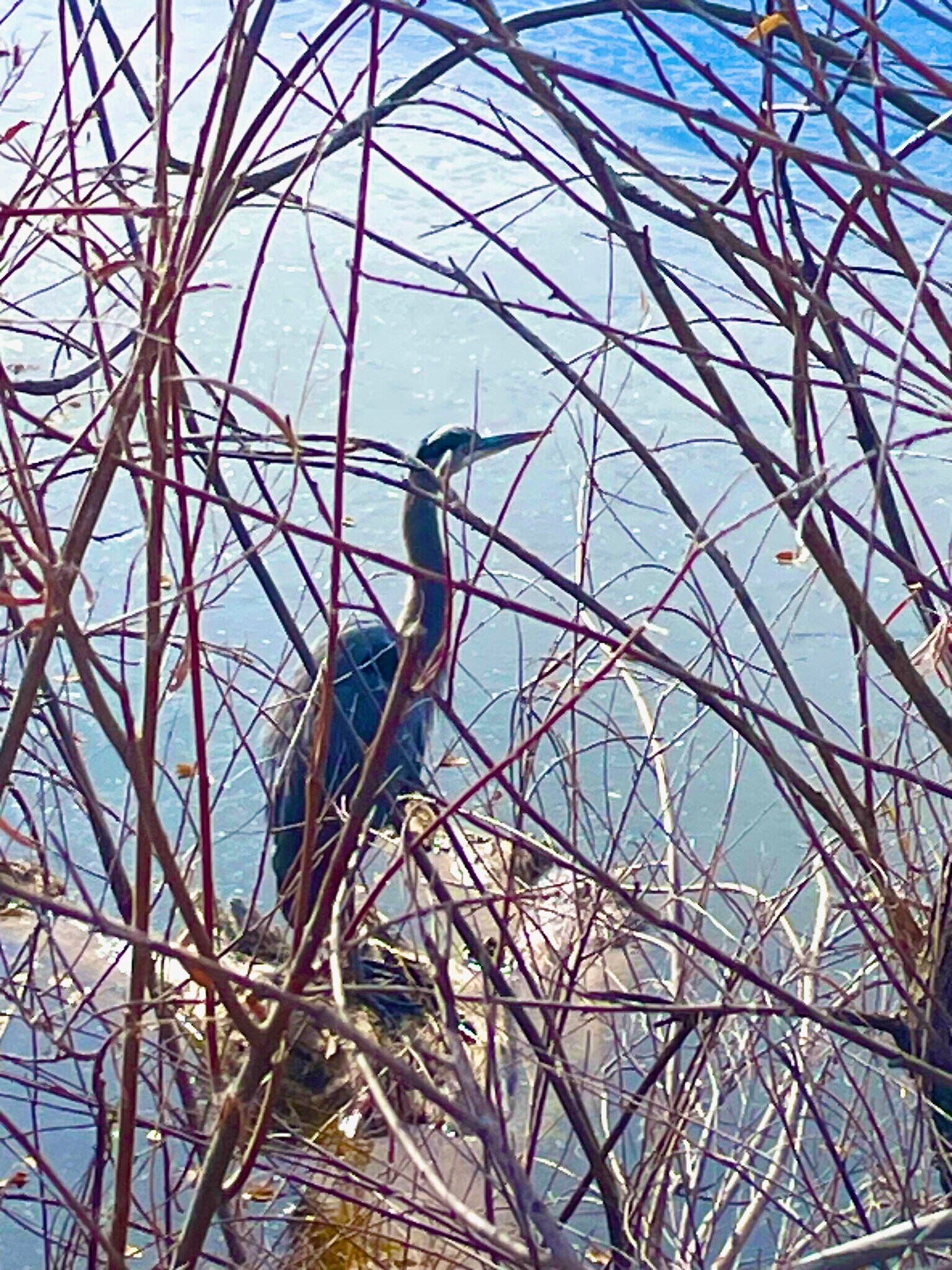 Building Photo - 2002 S Fork Dr