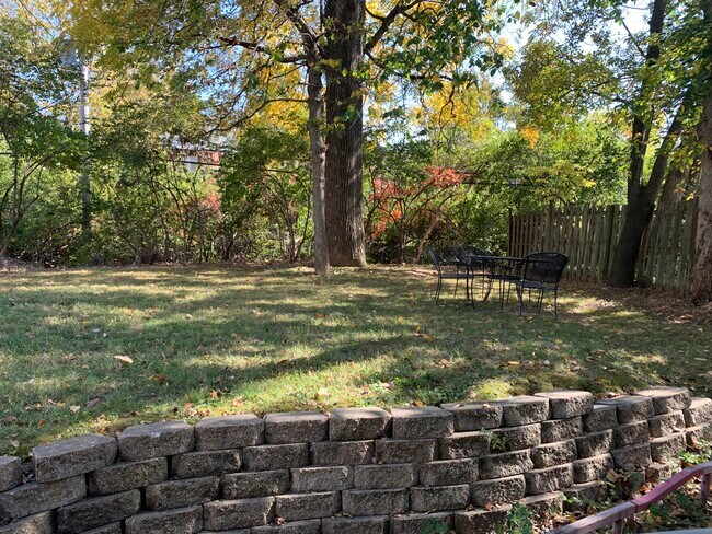 Backyard - 1112 Moorlands Dr
