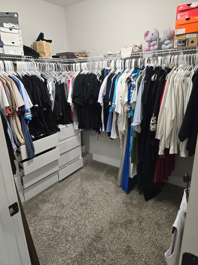 Building Photo - 506 Sudbury Dr