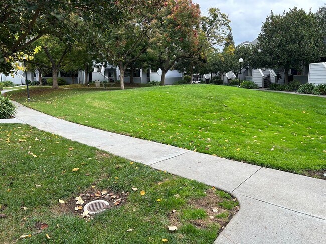 Building Photo - Spacious bright condo with new carpet and new paint and 2 bathrooms