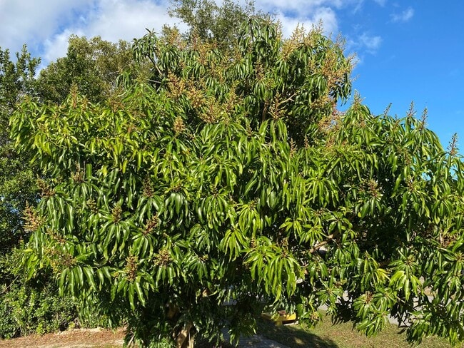 Building Photo - 3/2/2 great location