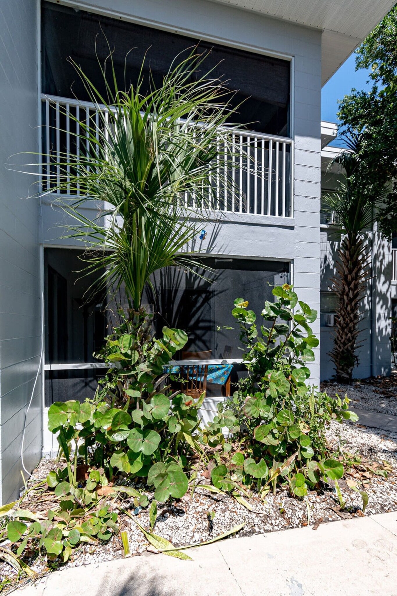 Building Photo - 141 California Ave