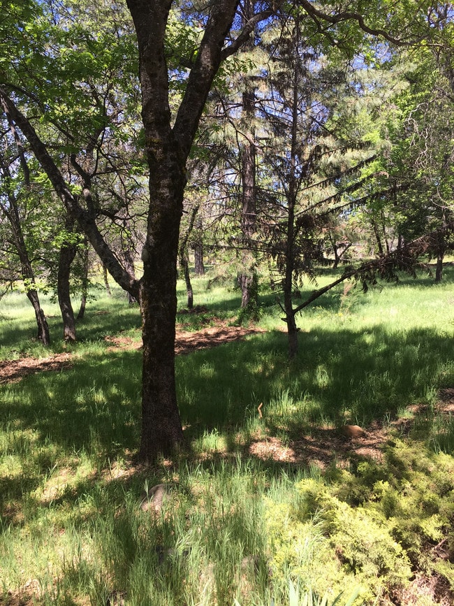 Building Photo - 12381 Sunset Ave