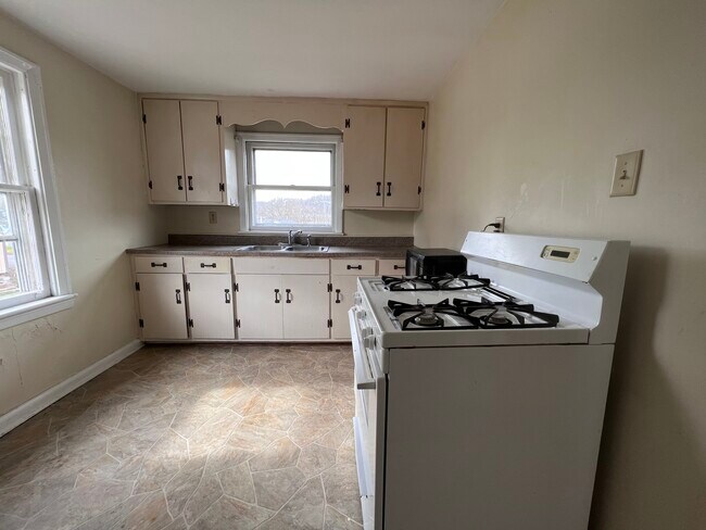 Kitchen 2 - 101 Lough St