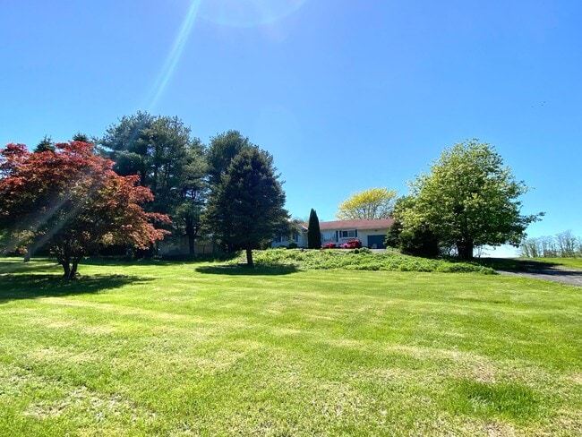 Building Photo - Bright & Breezy 3BR Ranch Ulster Park