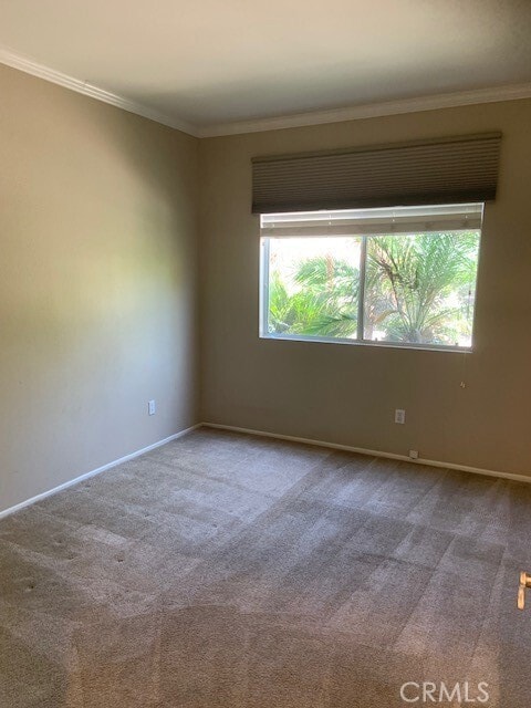 Building Photo - 4179 Crooked Stick Ln