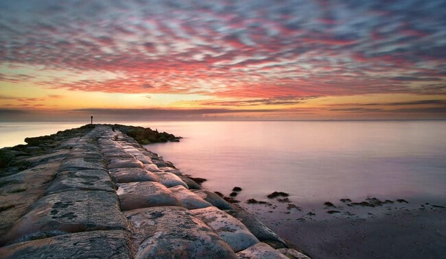 Building Photo - 950 Ponce De Leon Rd