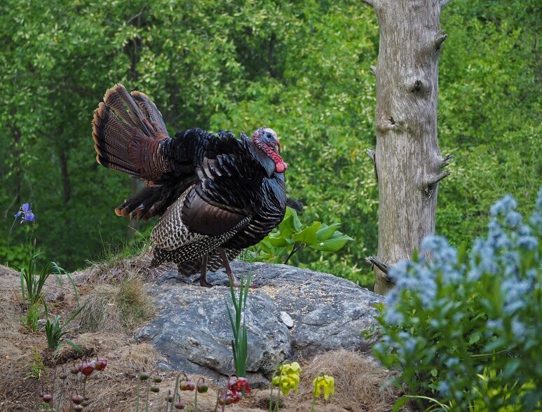 Building Photo - 100 Crab Apple Ln