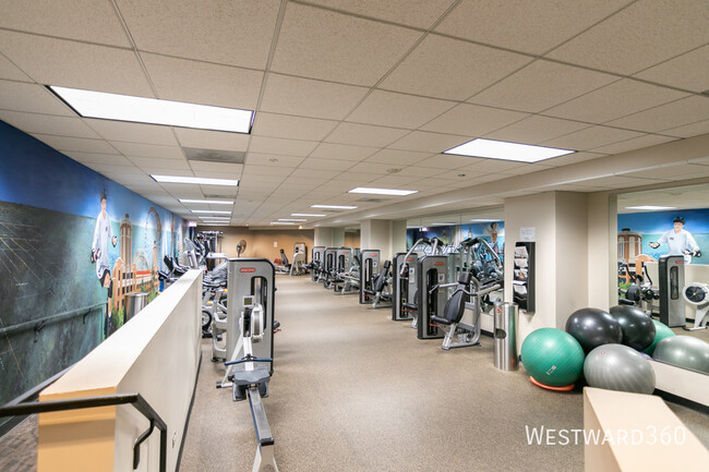 Building Photo - 480 N McClurg Ct