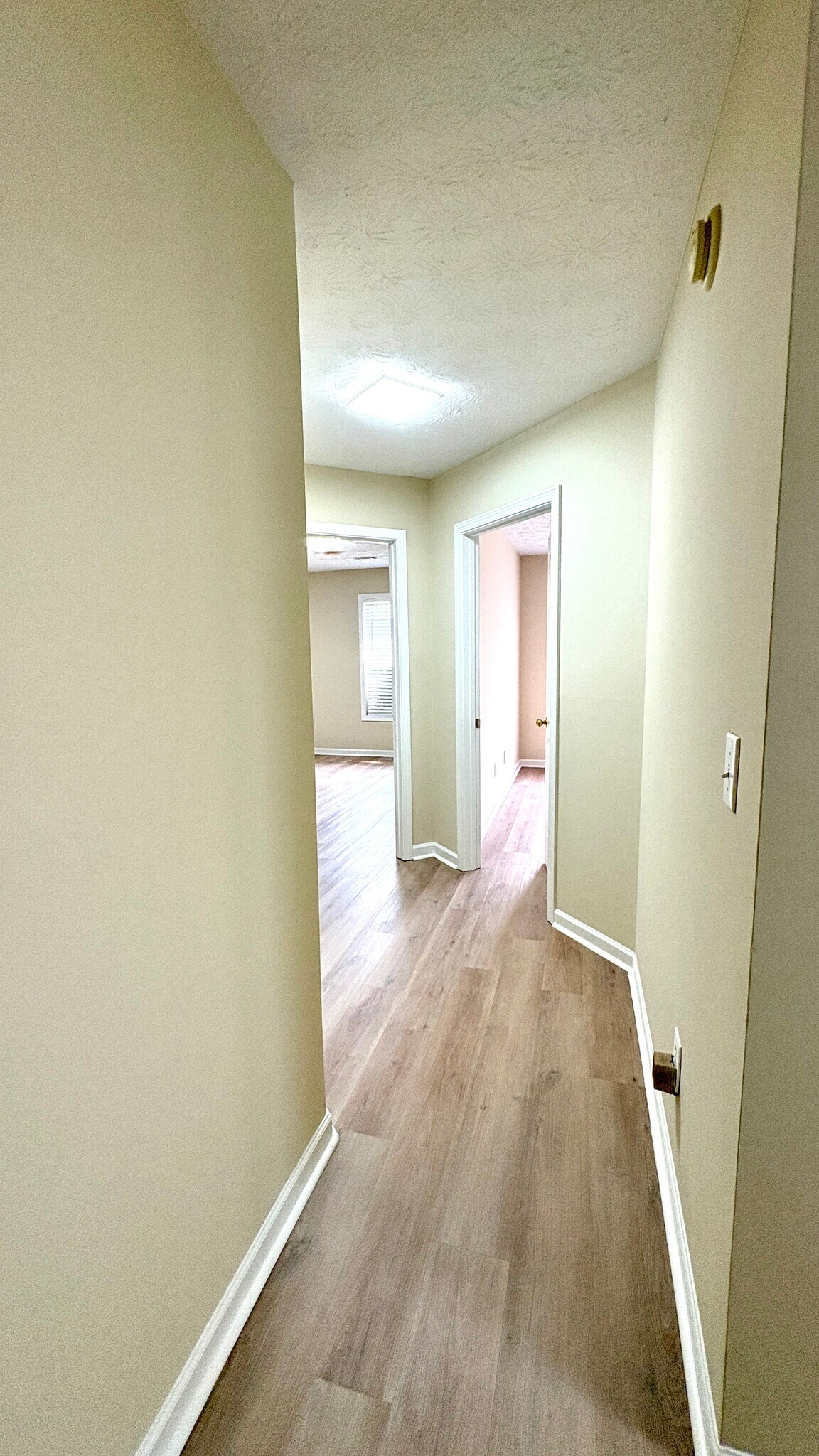 Building Photo - 2336 Pettit Dr