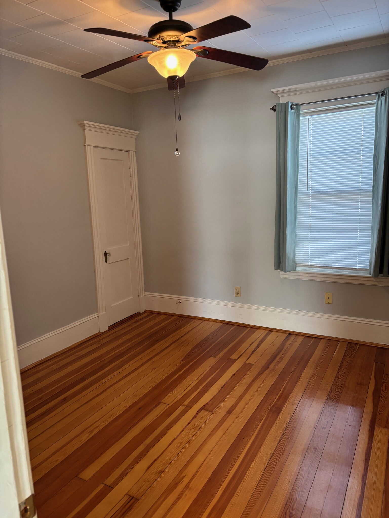 Building Photo - 14 Moynan St