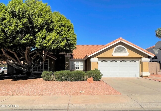 Primary Photo - 1310 N Longmore St