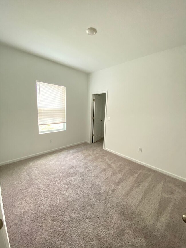 Building Photo - 35606 Buttonweed Trl