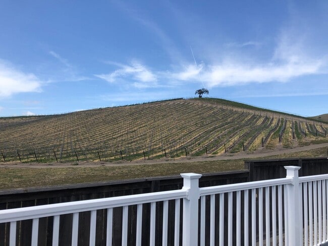 Building Photo - Available Now! 3 Bedroom 2 Bath Spacious H...