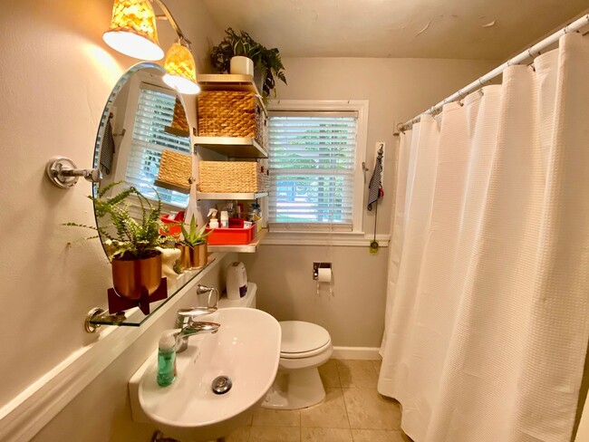 Building Photo - North AVL - Spacious Home with Large Yard and Outdoor Fireplace!