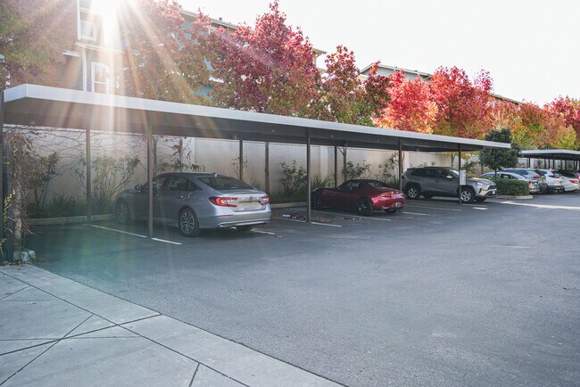 Building Photo - 1164 Morse Ave
