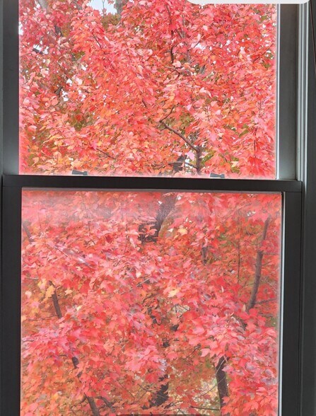 Building Photo - 1918 Mount Royal Ter