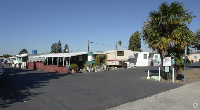 Primary Photo - Herperian Trailer Park
