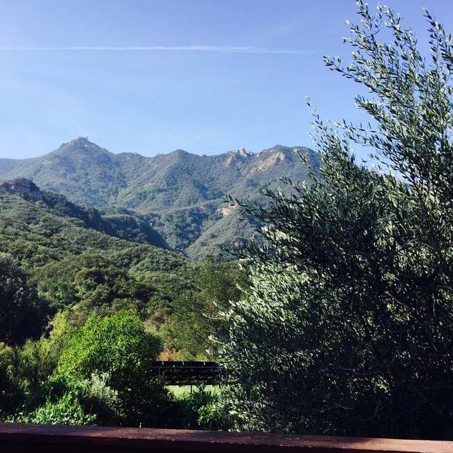 Main View - 23273 Red Rock Rd
