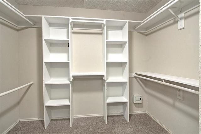 Building Photo - 2106 Willowgate Ln