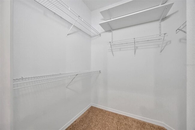 Building Photo - 5809 Fishhawk Ridge Dr