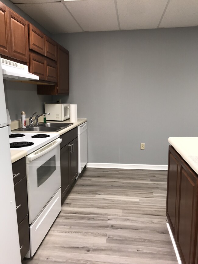 Building Photo - 1527 Meadow Spring Dr
