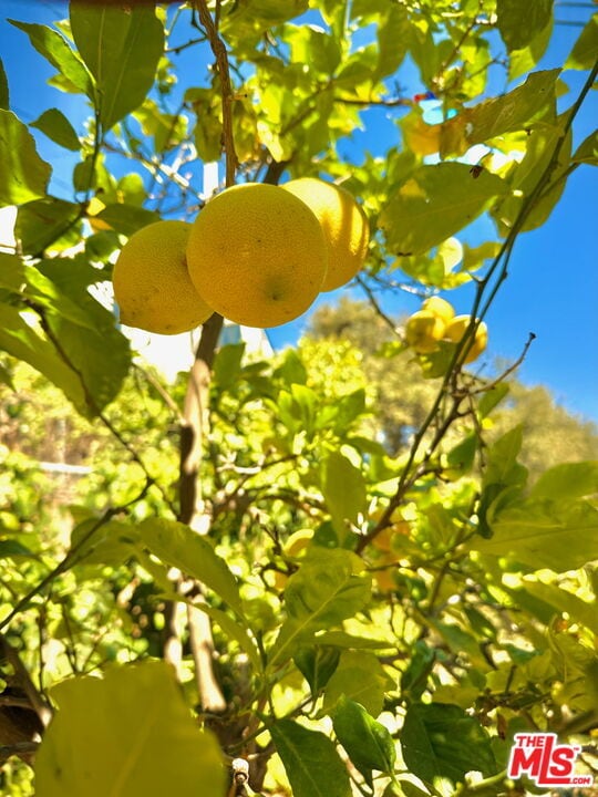 Building Photo - 2829 Beachwood Dr