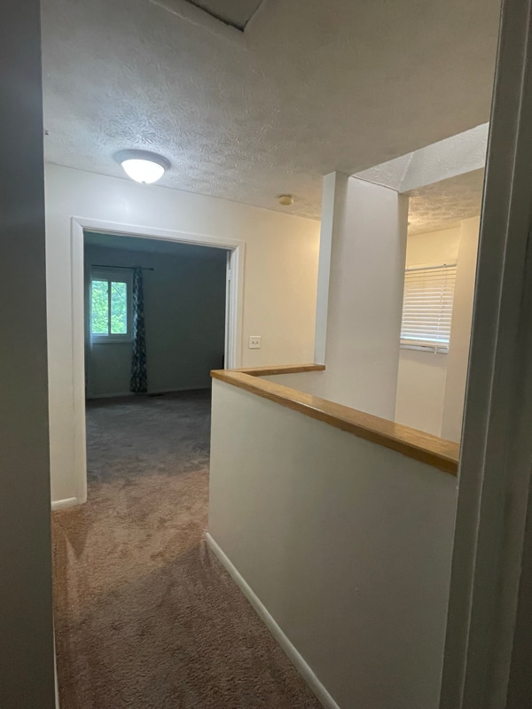 Building Photo - 4605 Winterberry Ln