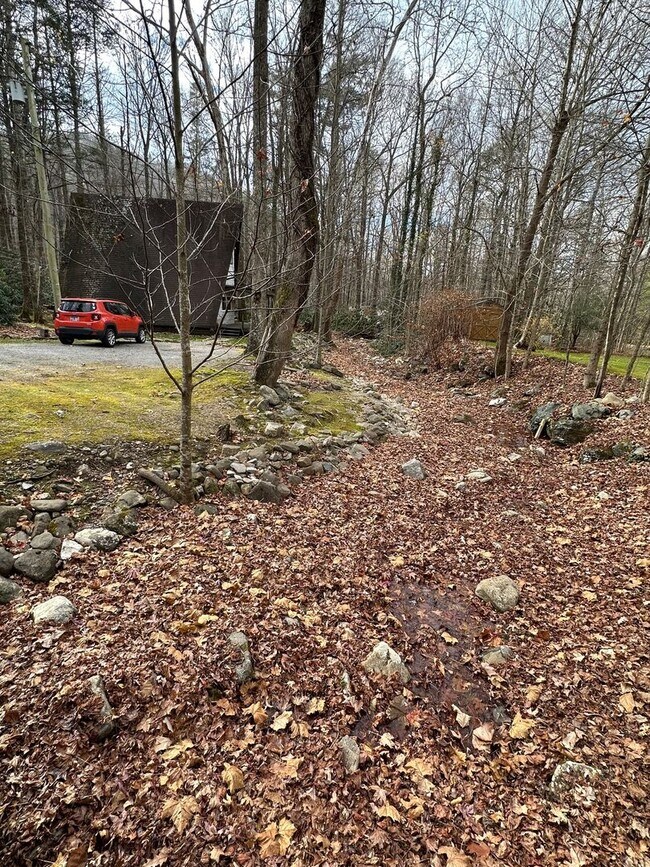 Building Photo - 2 Bedroom / 1 bath A Frame Home  Erwin, TN
