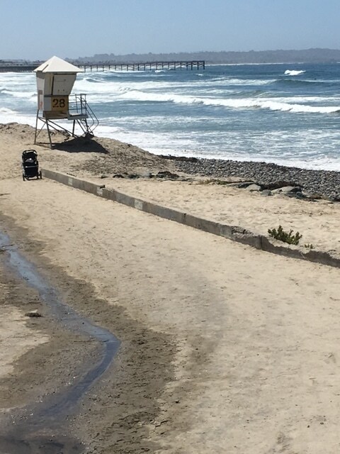 Building Photo - 5051 La Jolla Blvd