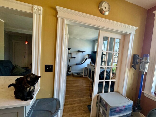Building Photo - Spacious Cambridge 1 Bed