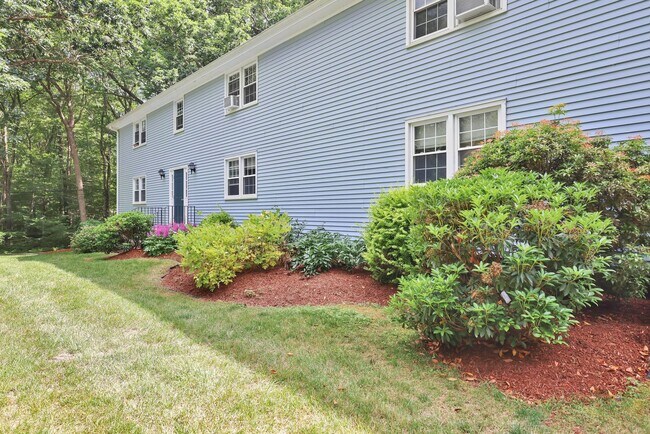 Building Photo - Andover, CT- One bedroom one bath apt in a gorgeous country setting.  It is time for a new start!
