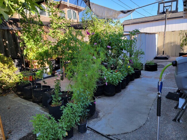 Building Photo - 738 San Simeon St