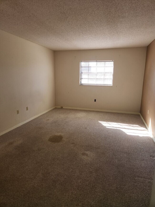 Building Photo - 3/2 Condo In +55 Community Leesburg