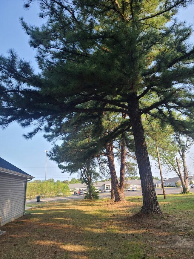 Building Photo - The Blandville - 2 bedroom- 2 bath