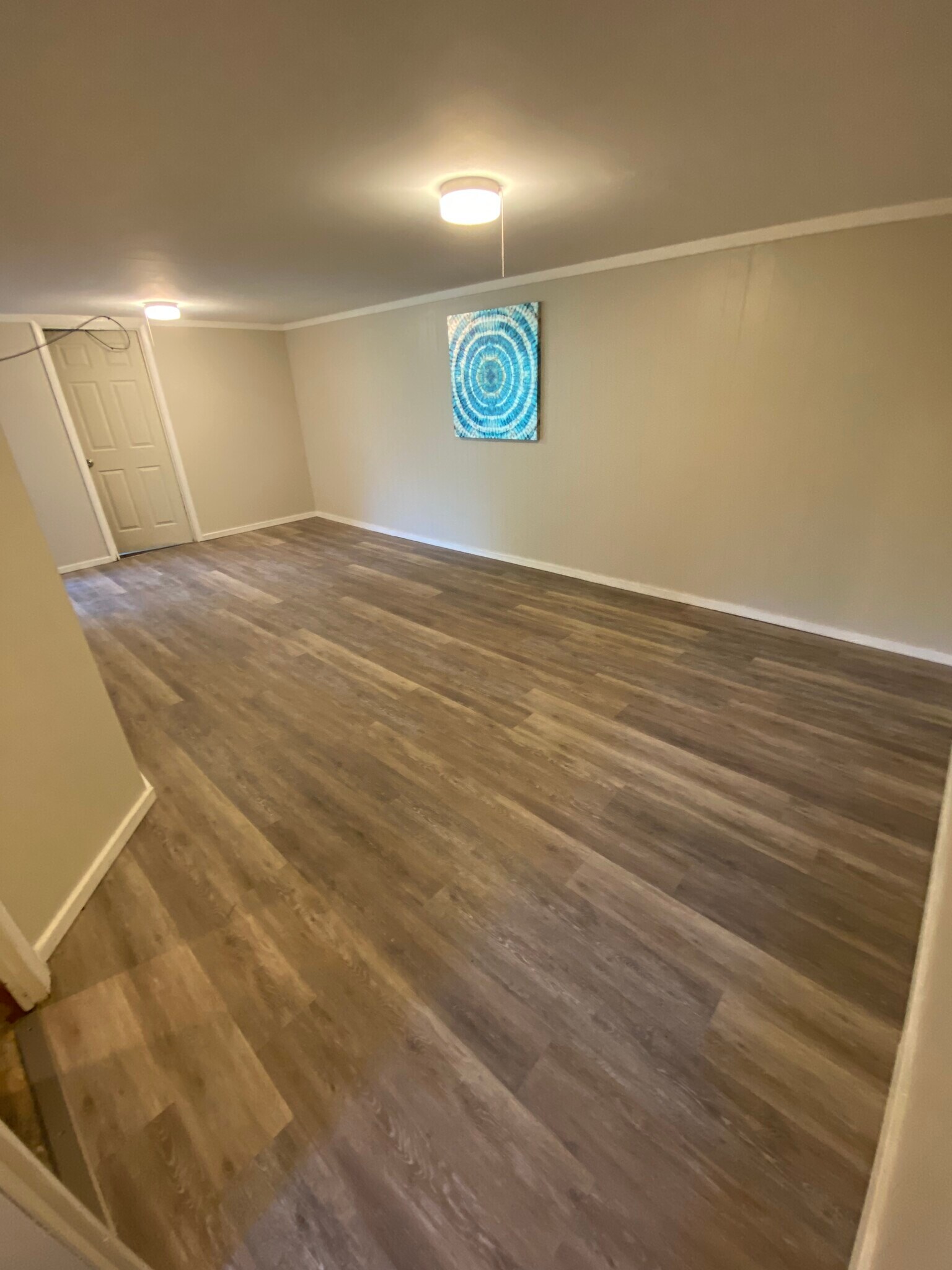 Basement Family Room - 10211 Baltimore Ave