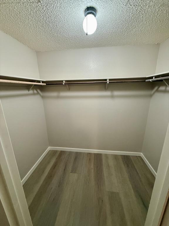 Building Photo - 2004 Ahern St