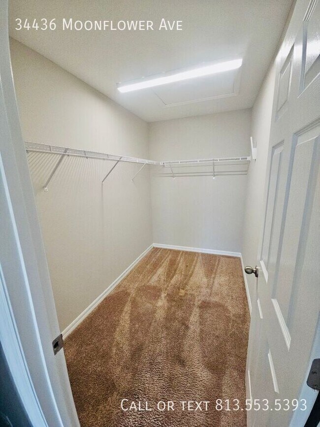 Building Photo - 34436 Moonflower Ave