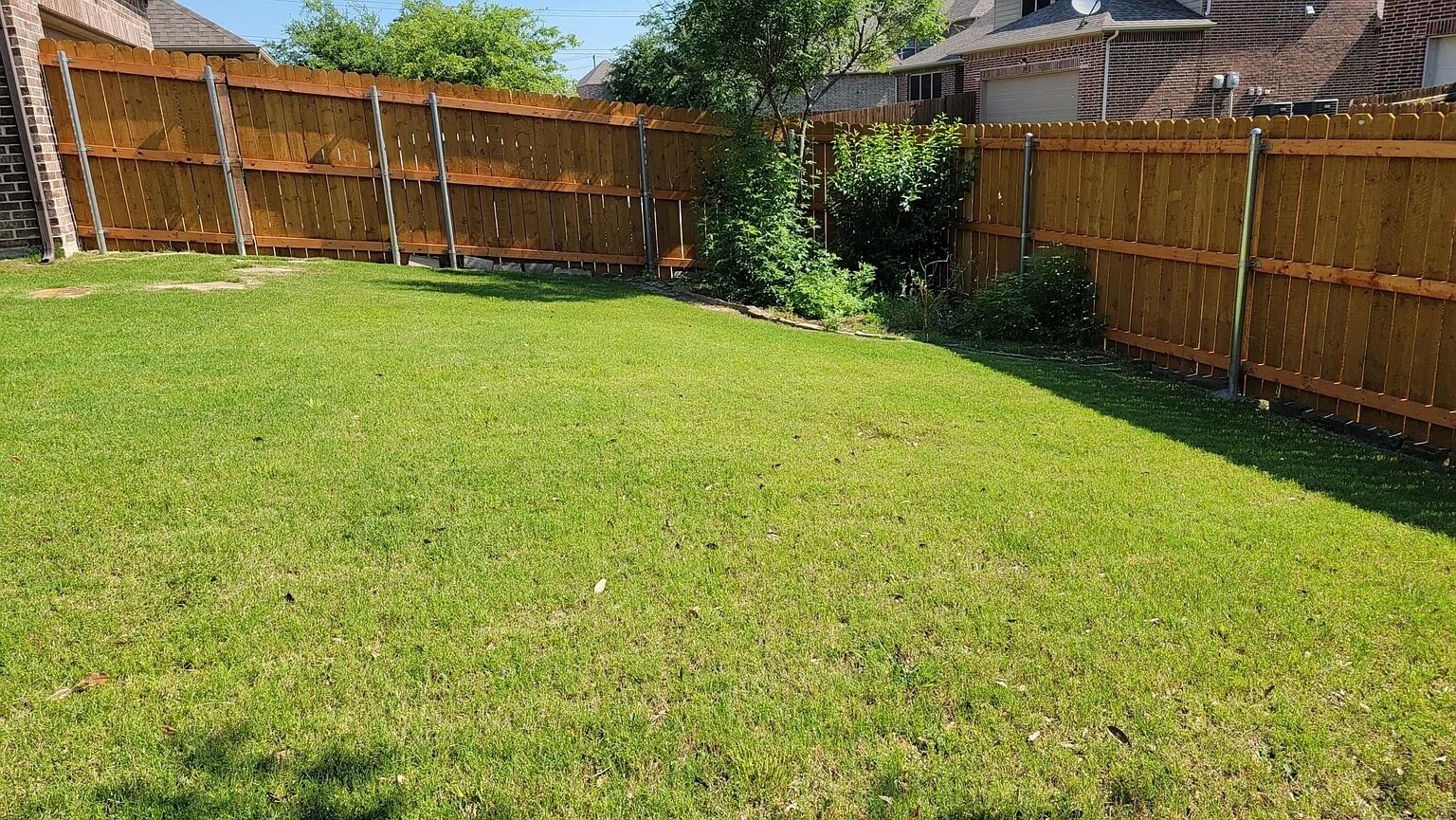 Back yard - 12372 Payne St