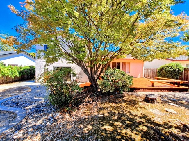 Building Photo - Spacious 4bd Tri-Level Home w/Central Heat...