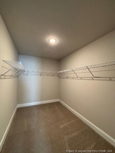 Building Photo - 206 Silk Oak Dr