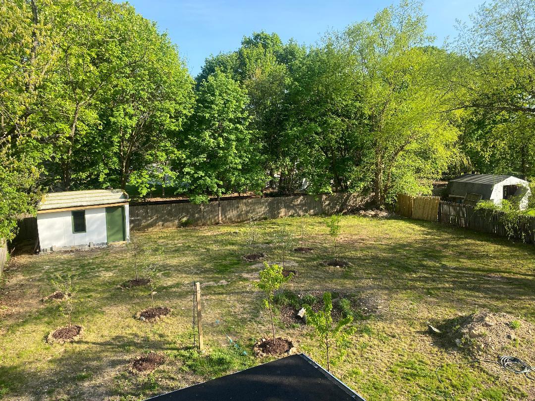 Huge Yard w/fruit trees - 11 Walnut St