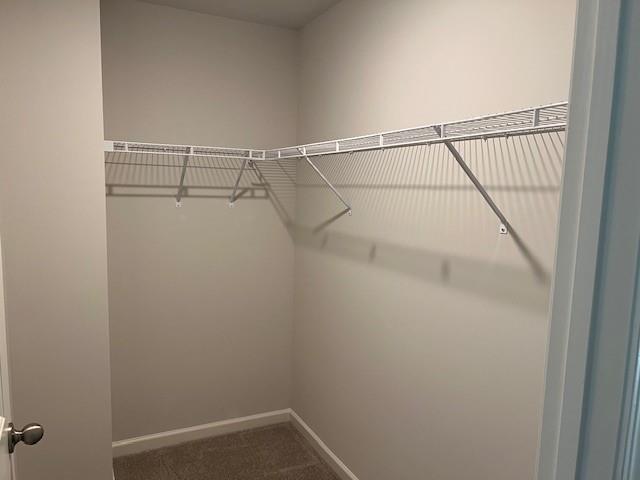 Building Photo - 2213 Blue Monarch Dr