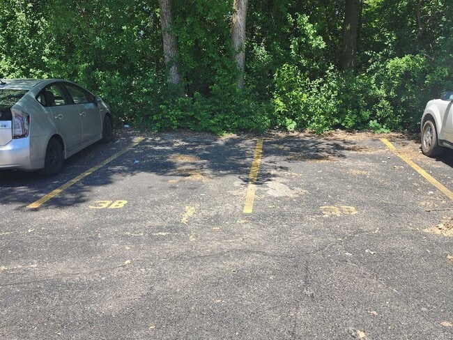 Building Photo - 1203 Whispering Hills Ct